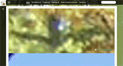 Desktop Screenshot of mlfi.org